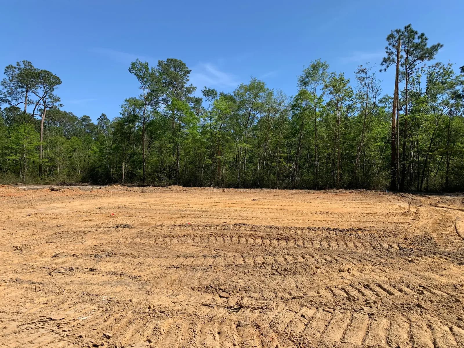 Freshly cleared and graded lot with a tree line left standing around it